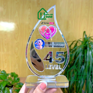 cup tim đội tiktok Hoàng Anh House