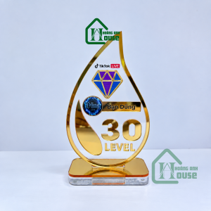cup tim đội tiktok vinh danh cá nhân hóa
