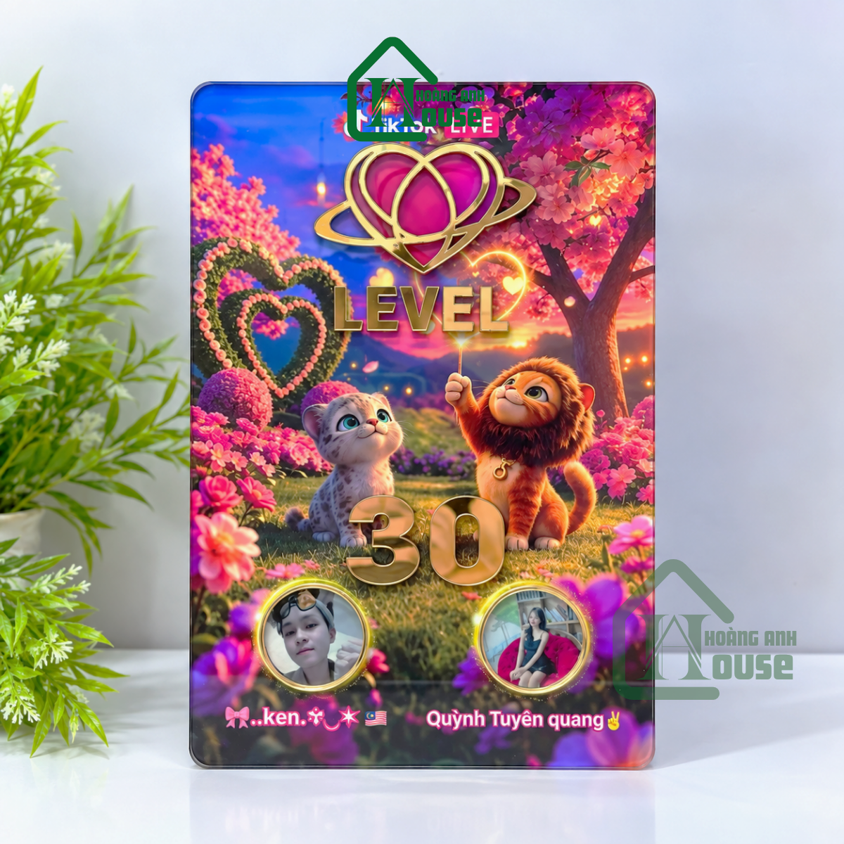 Mẫu Bảng Tim Đội TikTok Lv 30