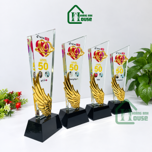Cup tim đội Tiktok Cánh Vàng quà