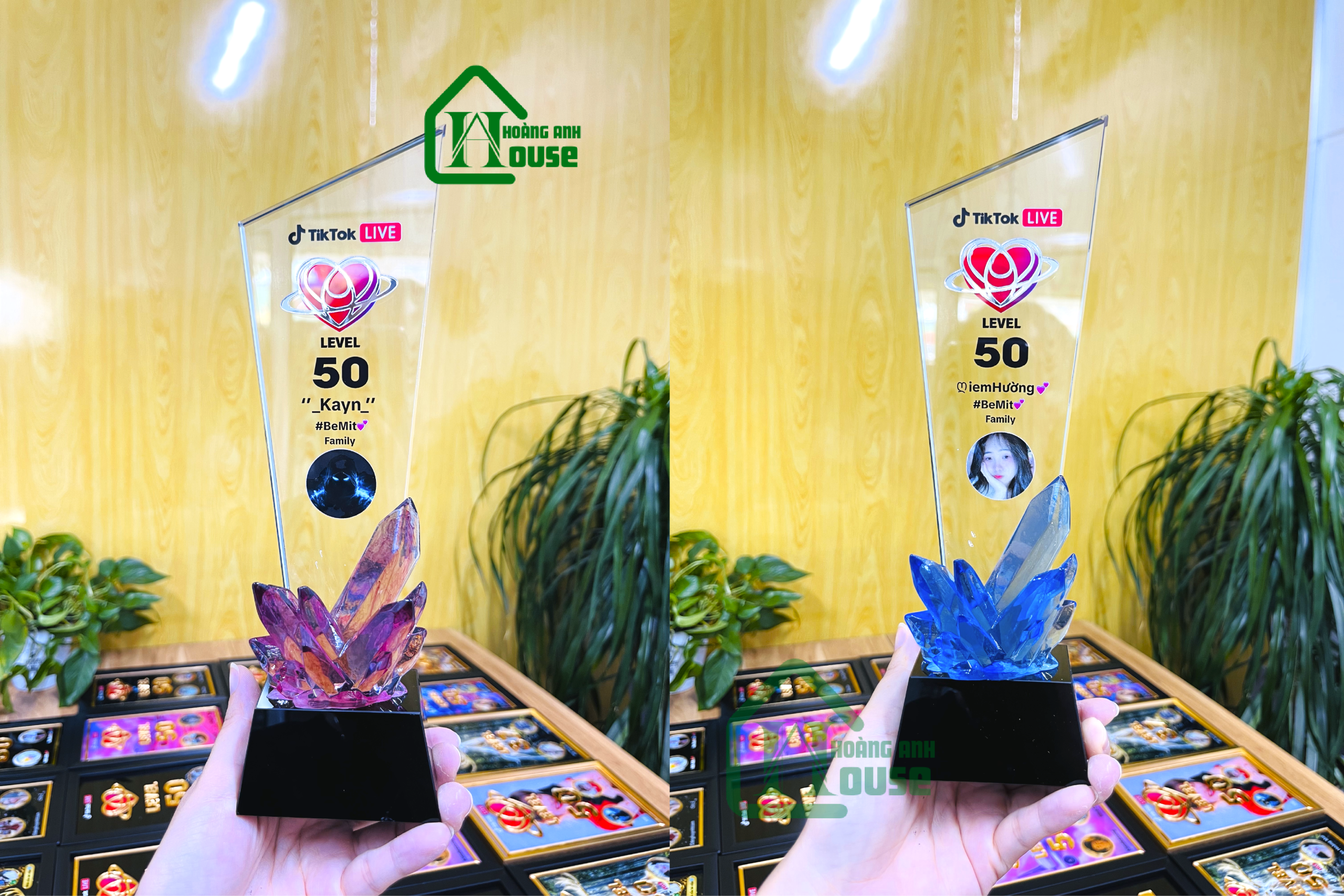 cup tiktok tim đội thủy tinh cao cấp