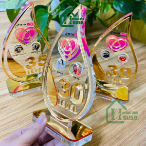 Cup Tim Đội Tiktok Hình Giọt Nước