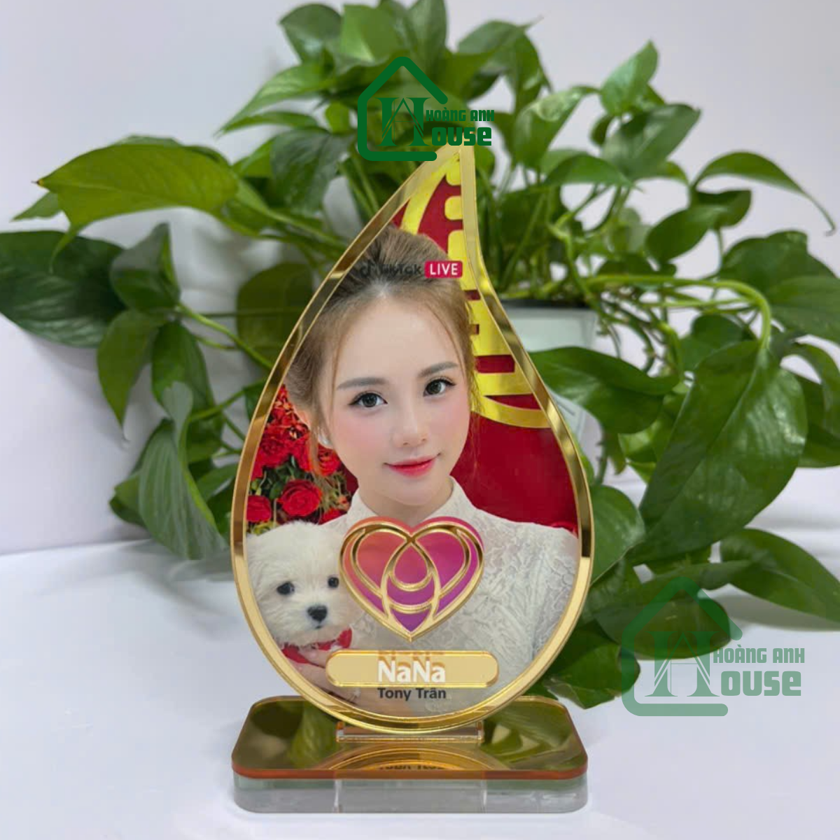 Cup Tim Đội Tiktok phổ yên thái nguyên