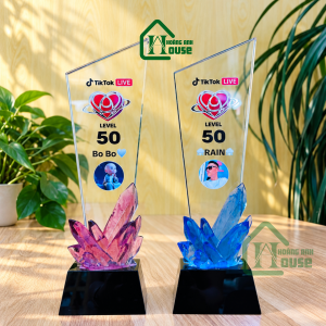 Cup Tim Đội Tiktok Thủy Tinh