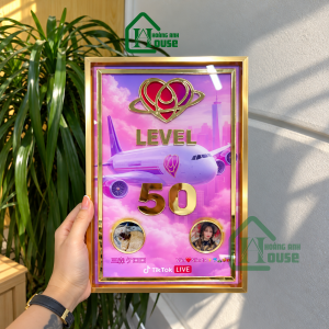Bảng Vinh Danh Cá Nhân Level TikTok