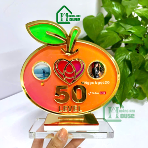 cup tim đội tiktok quả cam