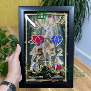 LV Tim Đội Tiktok Live
