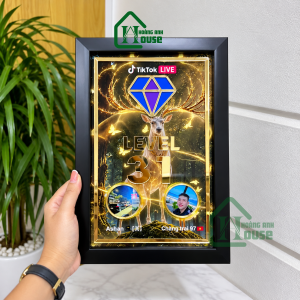 Bảng Vinh Danh Cá Nhân Level TikTok