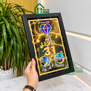 Bảng Vinh Danh Cá Nhân Level TikTok hoàng anh house