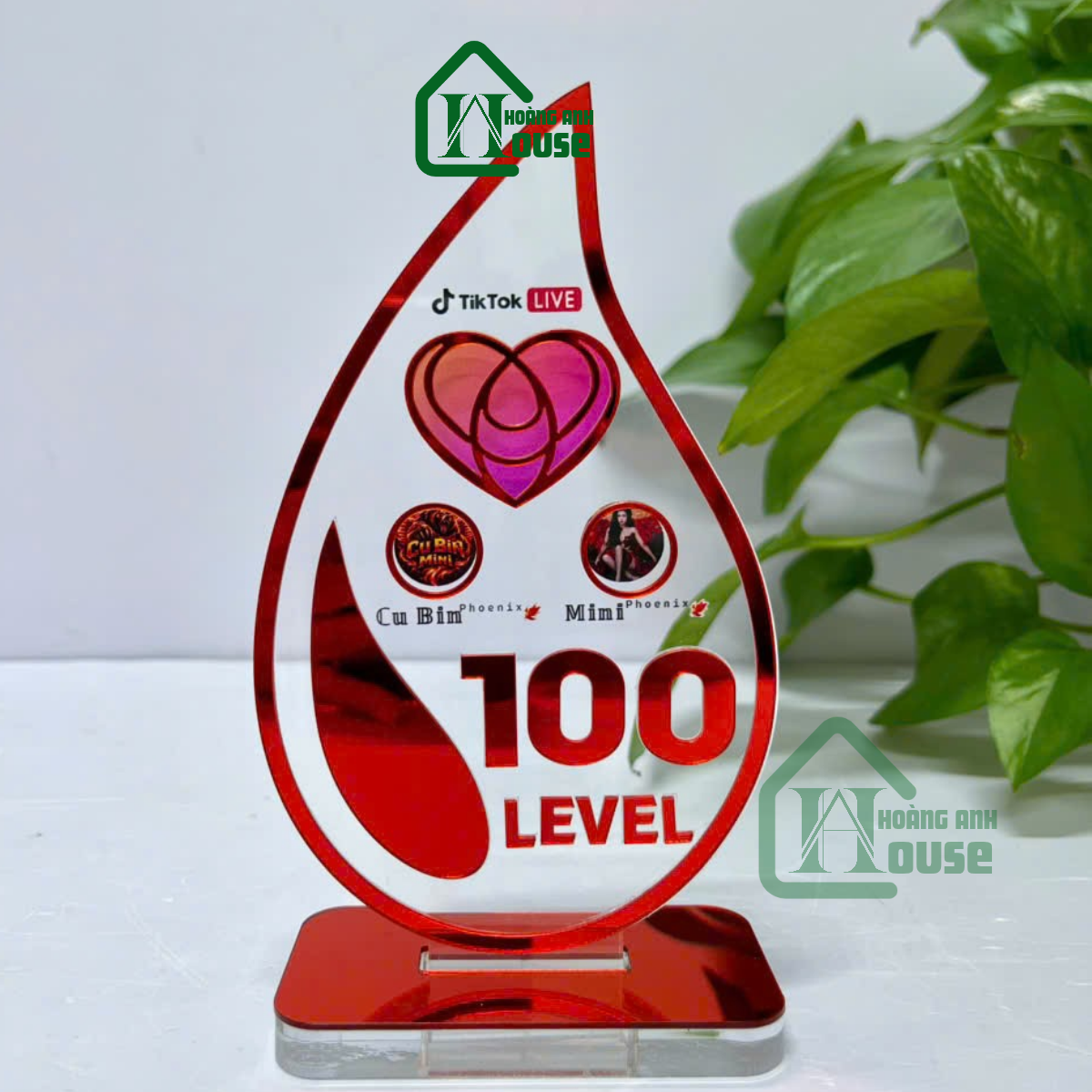 Cup Tim Đội TikTok LIVE