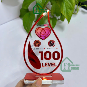 Cup Tim Đội TikTok LIVE Level 100 hoàng anh house