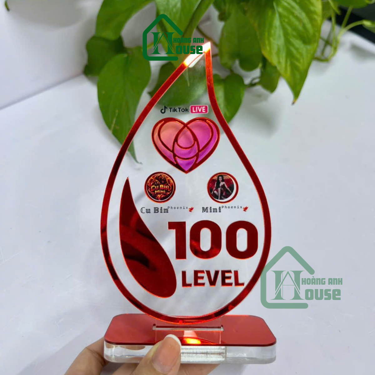 Cup Tim Đội TikTok LIVE Level 100 hoàng anh house