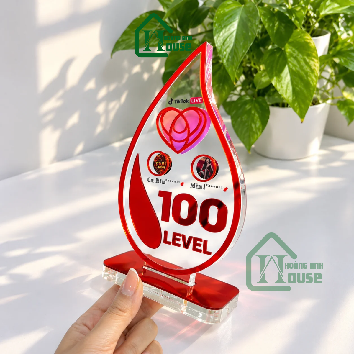 Cup Tim Đội TikTok LIVE Level 100