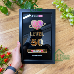 bảng lv tim đội tiktok