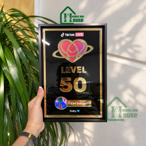 Bảng Tim Đội Tiktok Level – TT046